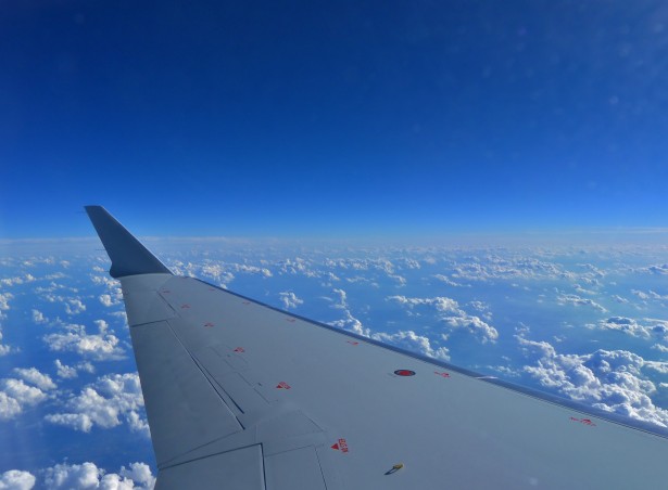 День полетов над землей